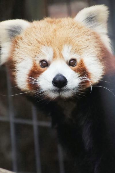 33552b3df30bab33ac0632406cac82a5_1764734556_7614.jpg 33552b3df30bab33ac0632406cac82a5_1764734556_7614.jpg